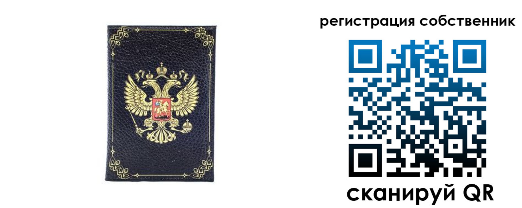 прописка законно в Сальске