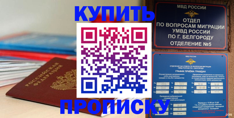 прописка для работы в Сальске